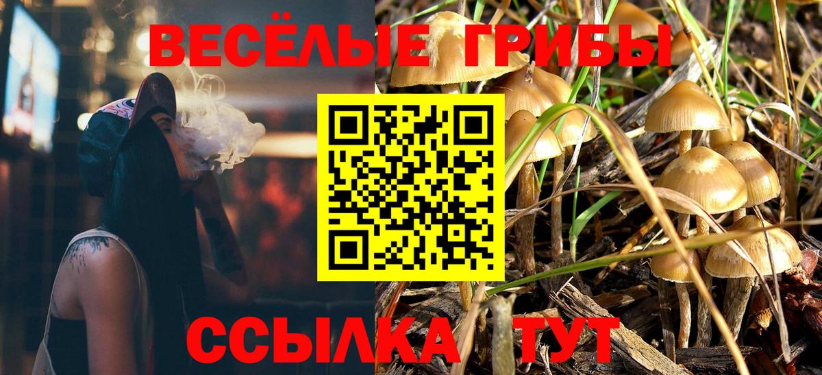 Псилоцибиновые грибы Psilocybine cubensis  Вход с VPN  купить закладку  Армавир 